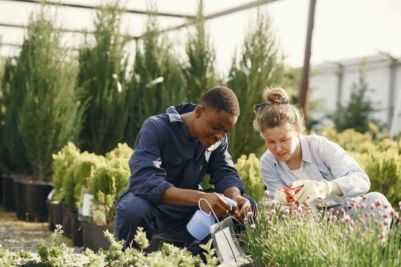 How Do Herbicides Work? Everything You Should Know About Herbicides