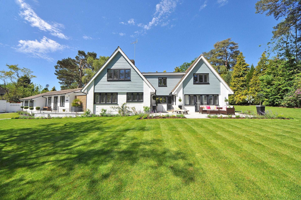 Summer Lawn Care for Beginners: Everything You Need to Know