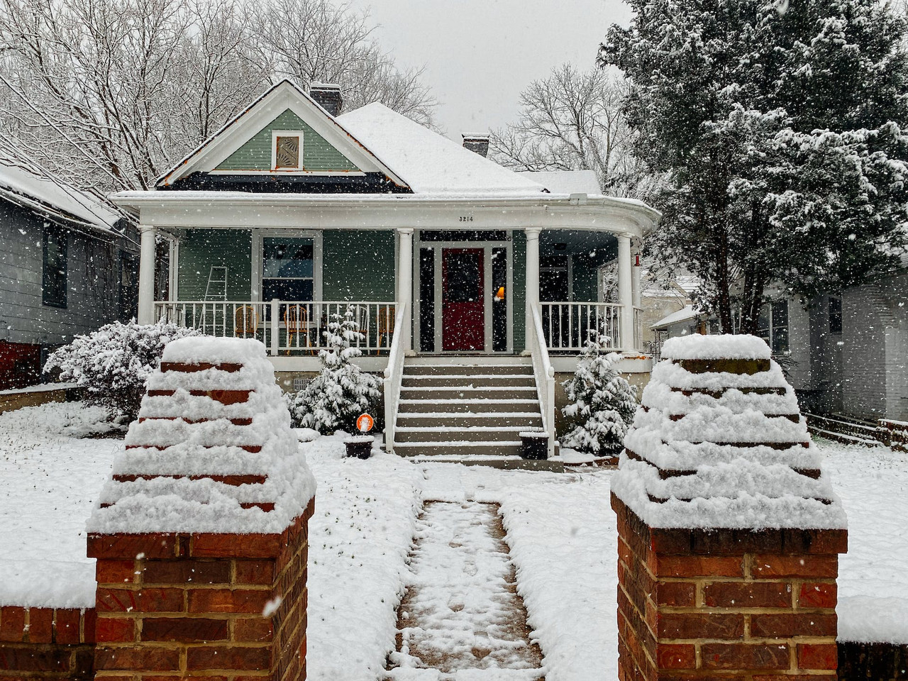 Where Do Bugs Go in the Winter? Everything You Should Know