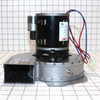 NBK-20577 BLOWER MOTOR, 460V A331