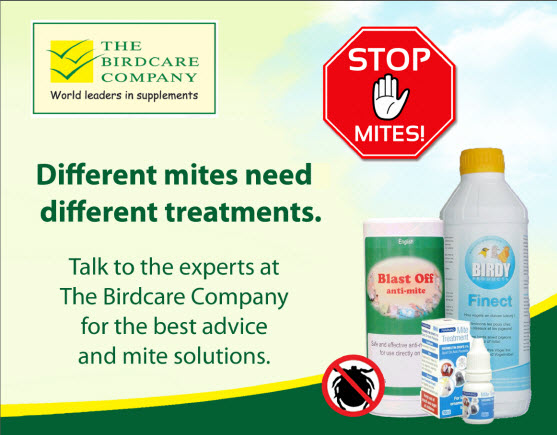 Anti Mites