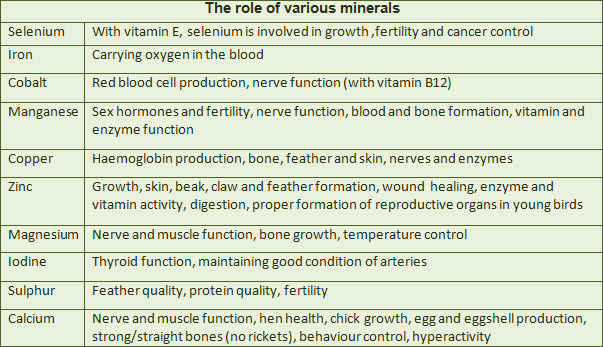 function-of-bird-minerals.jpg