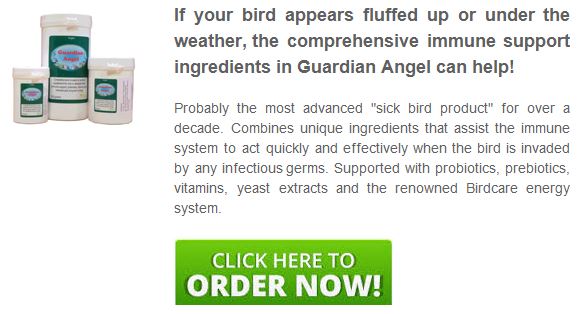 thumbnail image 2 of BirdCare Company Guardian Angel Supplement For Sick Or Stressed Birds – 300g 2 of 2