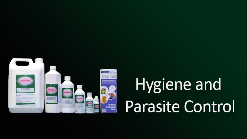 hygiene-and-parasite.png
