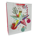 Christmas Large Colorful Star Ornament with Cane Ornament on White