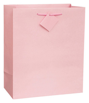 13" x 10.5" Large Pastel Solid Color Gift Bag
pastel pink