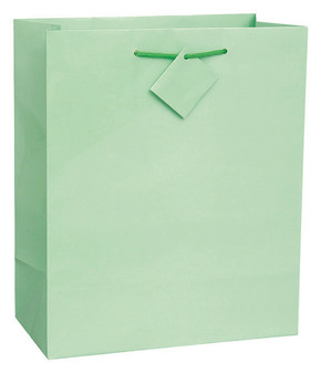 13" x 10.5" Large Pastel Solid Color Gift Bag
mint green