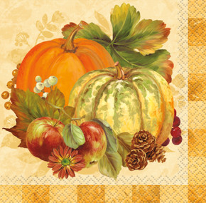 Autumn Pumpkin Napkins in Watercolor 16 ct. 2 ply