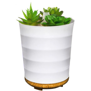 Elevate Aromatherapy with Aromar Plant Diffuser: Perfect for Plant Enthusiasts
