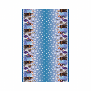 Party table cover with Frozen II design