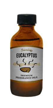Eucalyptus burning Fragrance Oil 2 oz