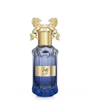 Le Falconé Amjad Noble Eau de Parfum 100ml Men's Fresh Fruity Woody Fragrance