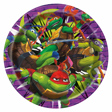 Children’s party plate featuring Teenage Mutant Ninja Turtles graphics