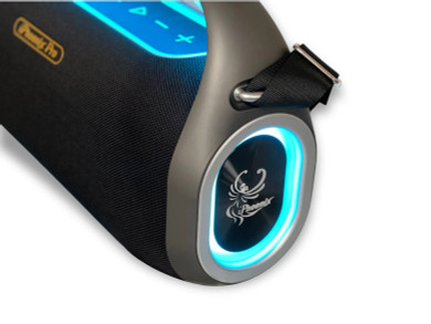 IP4 PRO (300w PORTABLE SPEAKER)