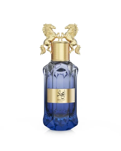 Le Falconé Amjad Noble Eau de Parfum 100ml Men's Fresh Fruity Woody Fragrance