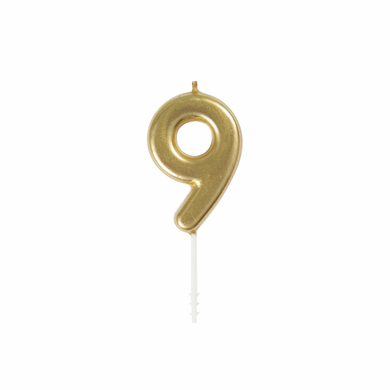 Number nine birthday candle on cake topper