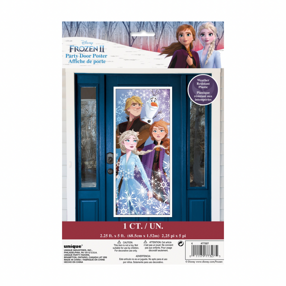 Party poster Frozen II theme