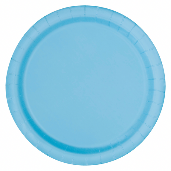 Light blue disposable plate