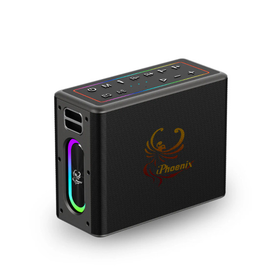 iPhoenix IX-60 black Bluetooth karaoke speaker with wireless microphone