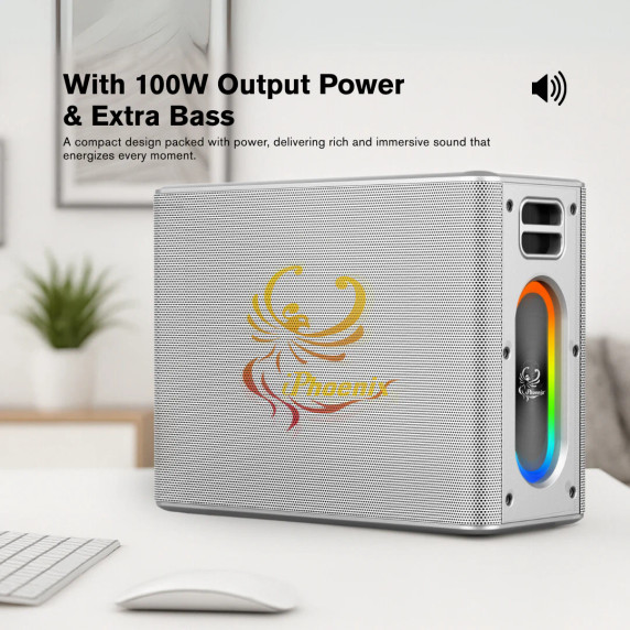 Compact silver 100W IX-60 Bluetooth speaker made for parties