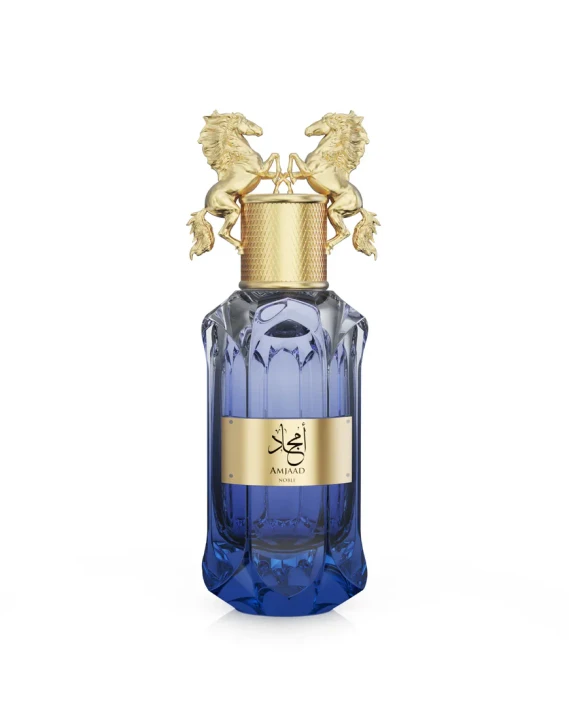 Le Falconé Amjad Noble Eau de Parfum 100ml Men's Fresh Fruity Woody Fragrance