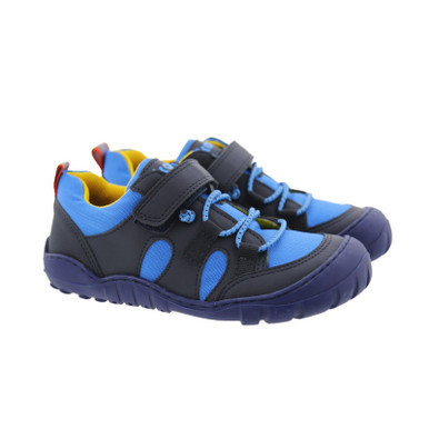 Mateo Royal Blue