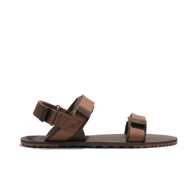 D-Trail Men Cocoa Brown/Java Brown