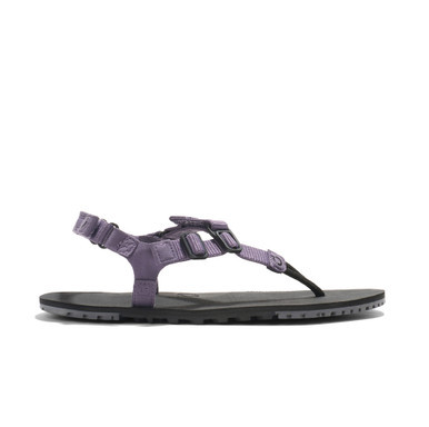 H-Trail Women Sage Purple