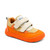 Elroy Orange