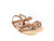 Summer Brown