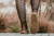 Entice Neo Dark Brown