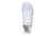 Nexus Knit Men White