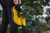 Trailwalker 2.0 Mustard