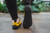 Trailwalker 2.0 Mustard