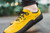 Trailwalker 2.0 Mustard