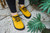 Trailwalker 2.0 Mustard