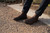 Uma Chelsea Men Brown