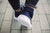 Lynx Dark Blue & White