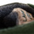 Granite Green