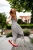 Ballerina Ladies Red