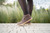 Synergy Chocolate & Beige
