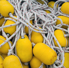 Adhesive Mount Films