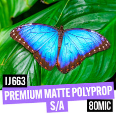 Premium Matte Polyprop Self Adhesive 80mic 36" x 30m