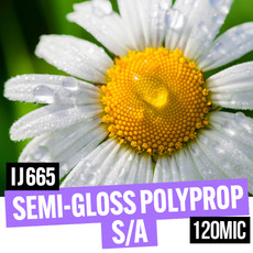 Semi Gloss Polypropylene S/A 120mic 42" x 30m