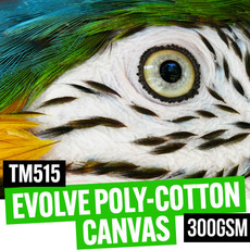 Evolve Poly-Cotton Canvas 300gsm 54" x 30m