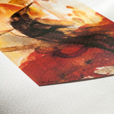 Hahnemühle Albrecht Dürer fine art paper 210gsm 24" x 12 m, with a coating specially developed for Fine Art applications.