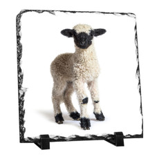 Sublimation Matte Photo Slate - Large Square 29cm x 29cm