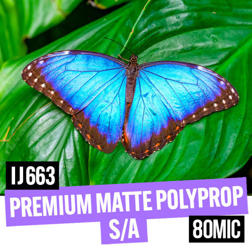 Matte, clear glue self-adhesive, PVC free 80 microns polypropylene, 42 inches (1067 mm) wide x 30 metres long roll.