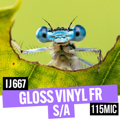 Gloss semi-permanent self-adhesive FR vinyl 115mic 17" x 30 meter roll