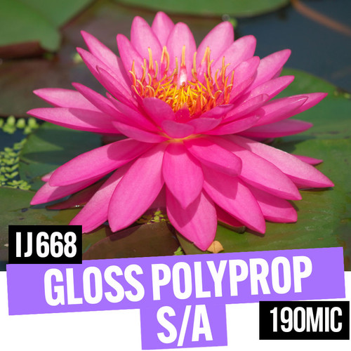 Gloss self-adhesive polypropylene 190 mic 36" x 30 meter roll
